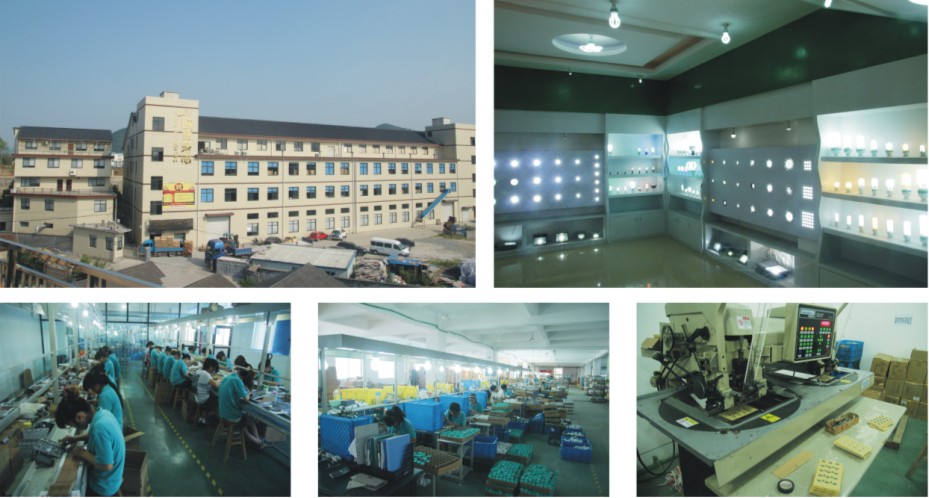 China factory supplier low price A70 12W high brightness power storage led lamp  for home using