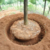 Backhoe laoder with tree spade manufacturers for sale