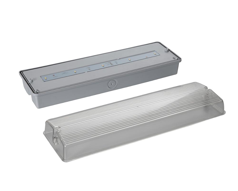 IP65 Waterproof 220V Buildings LED Emergency Light