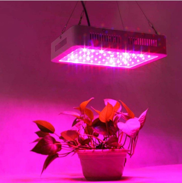Hot sale Super Bright Indoor Garden Greenhouse Plant 300w 600w 1000w 1200w 1500w 1800w 2000w full spectrum led grow lights