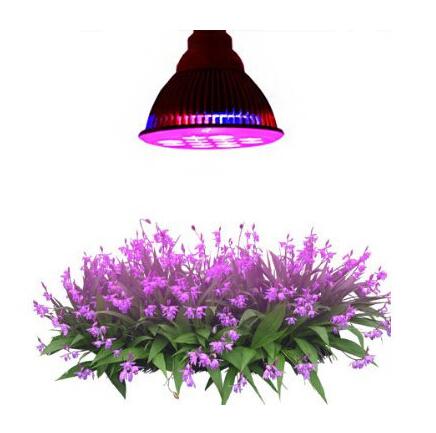 Nice Design led grow light led grow plant light hydroponic
