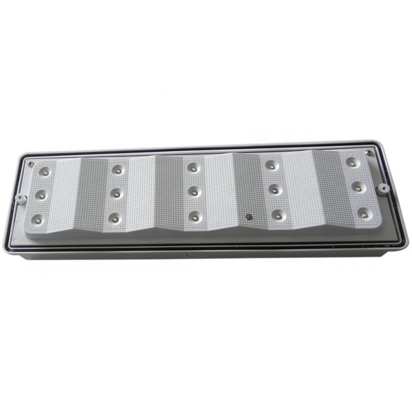 Wall mounted Battery Powered LED Emergency Bulkhead luminaire