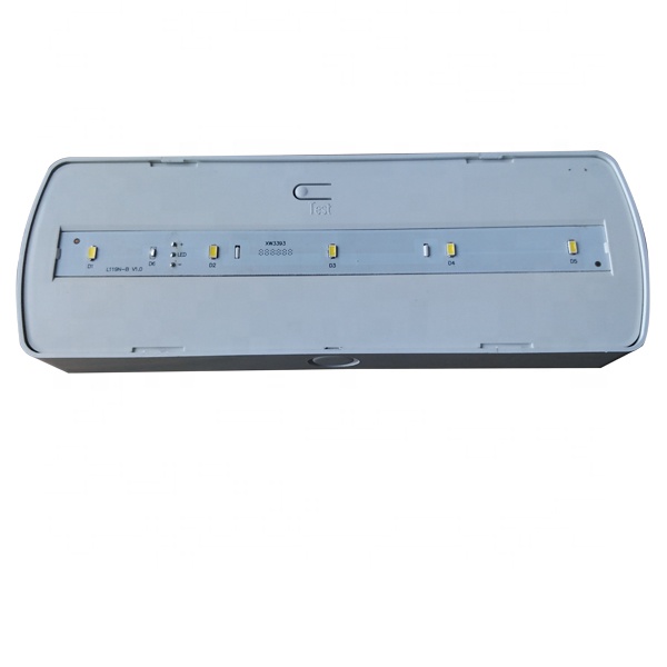 CE certification 2.5W Ceiling Emergency Light