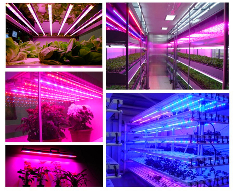 High Power Horticulture Grow LED Strip Light Waterproof for Plants Vegetables Flowers Mushroom Full Spectrum 5050 LED Grow Light
