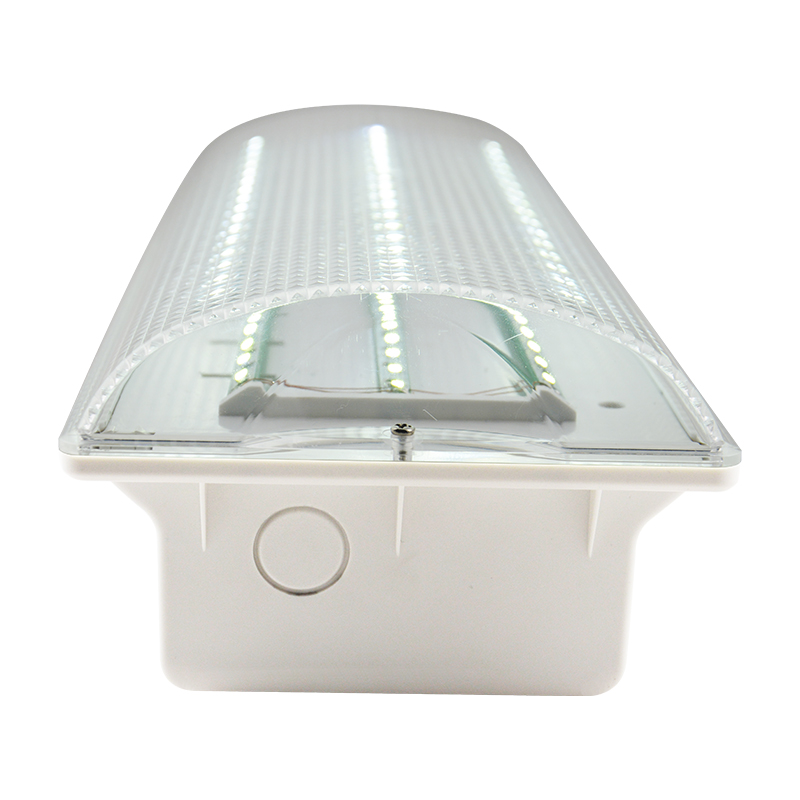 LED rechargeable emergency light explosion proof