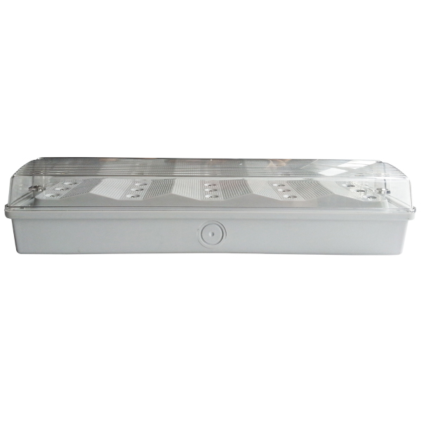 IP65 Waterproof 3W Bulkhead LED Emergency Light