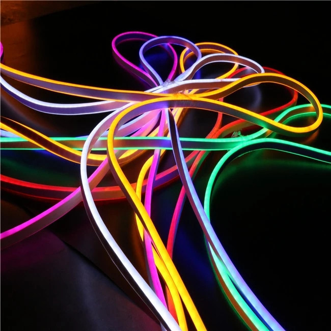 Mini LED Neon Flex 12V 24V 110V 220V RGB LED Neon Light