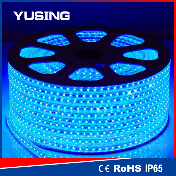 High Voltage 100M Per Roll SMD 3528 Blue Color 220V Christmas LED Strip Light Outdoor Use