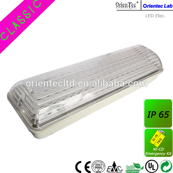 IEC60598-2-22 Classic 51 LED IP65 emergency light waterproof led emergency light