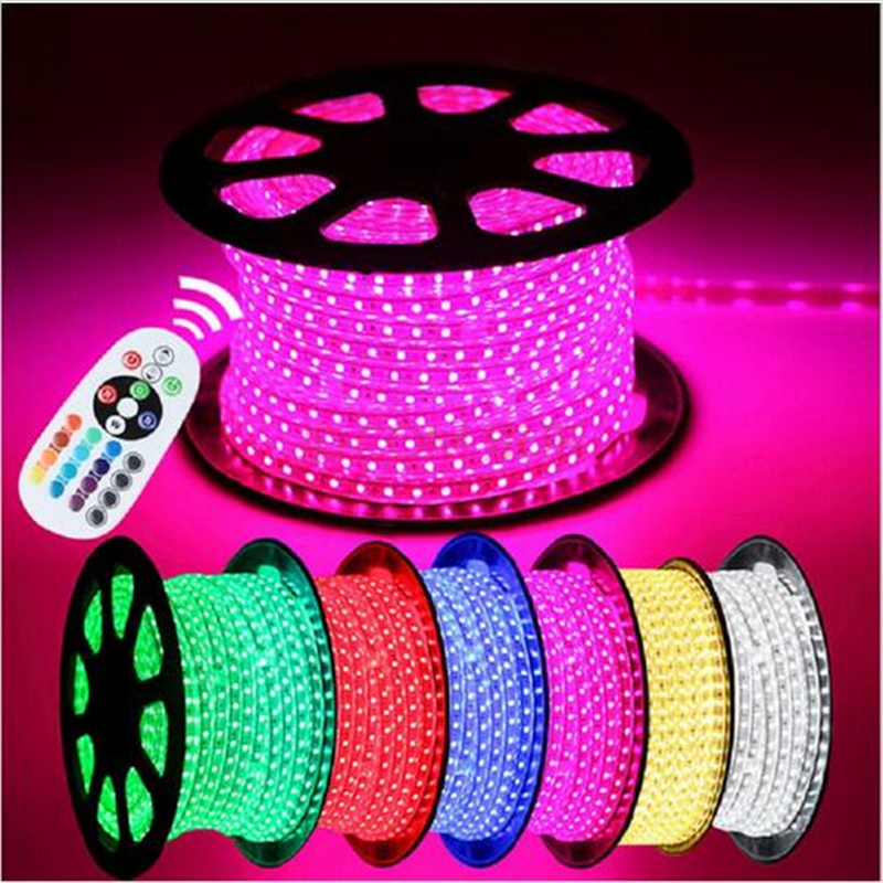 60leds/m Warm White White Red Blue Green RGB 5050 Waterproof 220V 110V IP67 High Voltage LED Flexible strip light