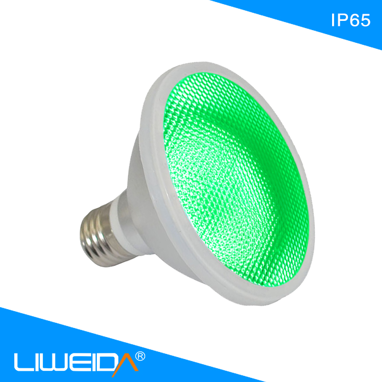 12V AC DC Multi Color Option IP65 15W 120 degree 110lm/w Spotlight Led Garden Light for Garden Yard and hotel