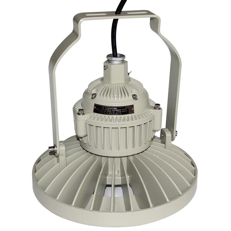 Explosion Proof 50-100Watt LED Spotlight For Chemical Plant - Multi Mounting - High Lumen - 110-240Vac - 4500K 6500K