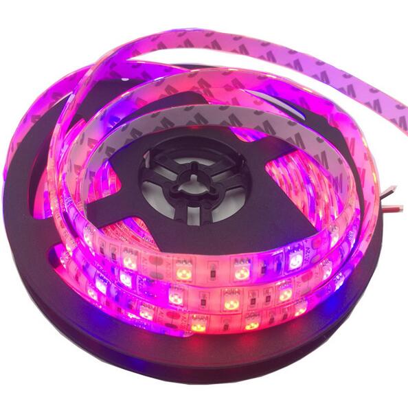 DC12V waterproof Aquarium Greenhouse Hydroponic 5050 Plant Grow LED Strip light
