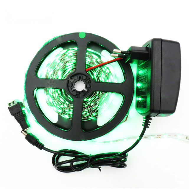 indoor 60 led/m SMD 3528 Waterproof IP65 DC12V 220V 110V 14.4W RGB Led Strips