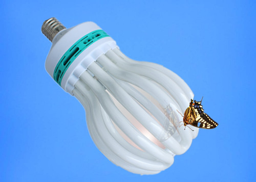 Flower light Compact fluorescent lamp Lotus blossom U shape energy saving lamp bulb with CFL principle