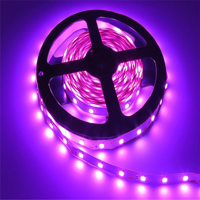 White warm Blue Green Red Yellow IP68 DC12V LED 3528 SMD flexible RGB led strip light