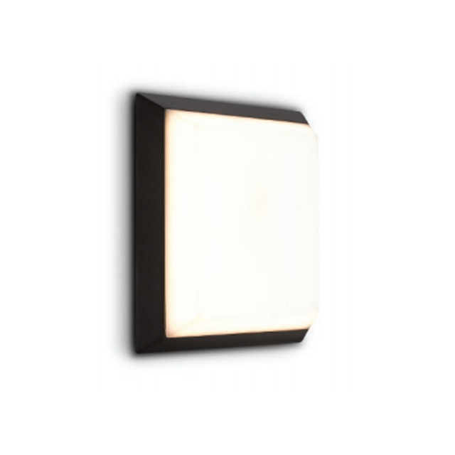 Fashion modern surface mounted LED modern wall lamp living room lighting for wall light indoor/outdoor