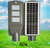 Integrated Solar street Integrated outdoor solar led street light with PIR