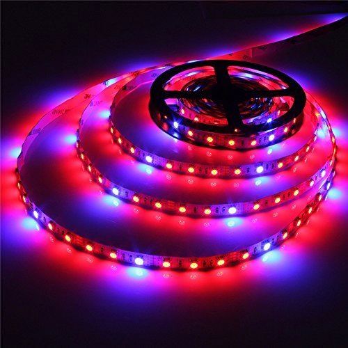 Waterproof greenhouse horticulture led strip grow lights for quadraphonic lettuce