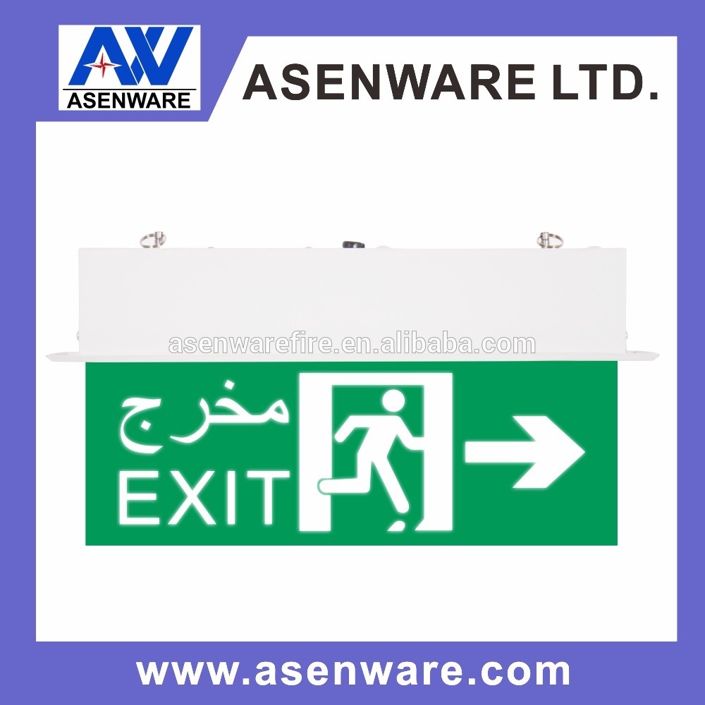 Addressable led emergency light for Centralized monitoring emergency luminaire system