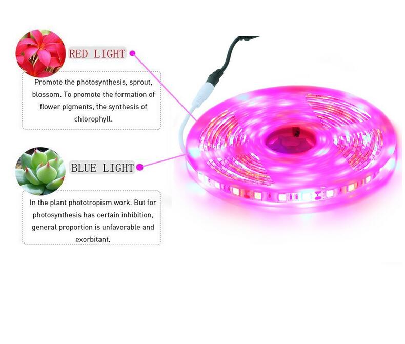 DC12V SMD 5050 led plant grow light strip for Greenhouse Hydroponic Plant Growing