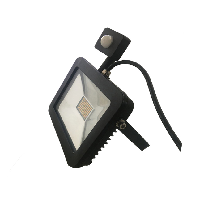 ip66 stand 100 watt led flood light price