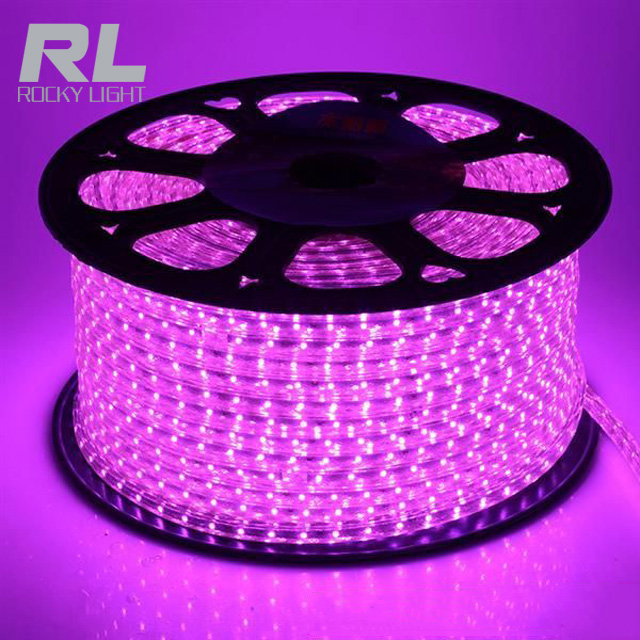 LED strip light RGB waterproof 220V/240V flexible strip light with accessories