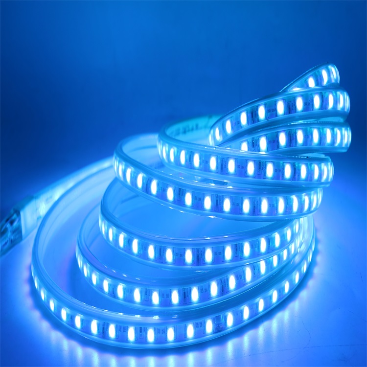 LED Strip Light Waterproof LED Tape AC 220V SMD 5050 RGB 60LED Flexible LED Light strip for Living Room Outdoor Lighting