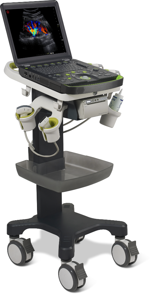 Portable Ultrasonic Diagnostic Devices Type Ultrasound Machine For Pregnancy