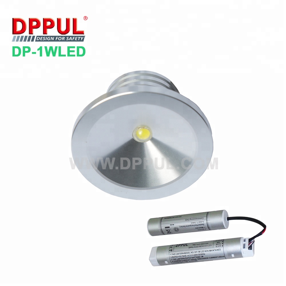 2019 Newest Rechargeable LED Lighting DP1WLED