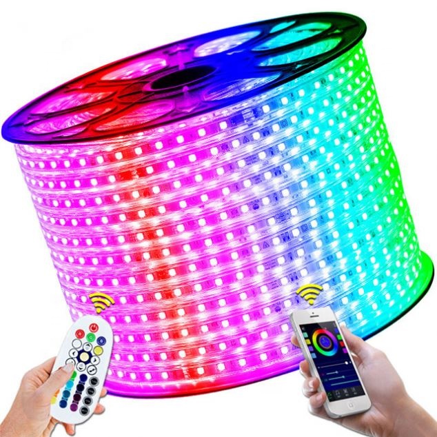 Super bright 5000 hours working lifetime waterproof 5050 led strip 220v