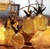 Battery Operated Indoor Pineapple Decoration Christmas LED String Light