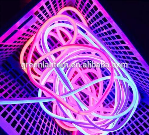 RGB color changing led neon rope light 5050 SMD LED DC24V DMX control