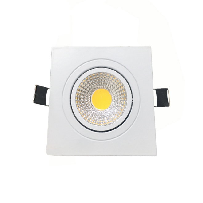 2 years warranty ac85-265v ceiling 10w led down light