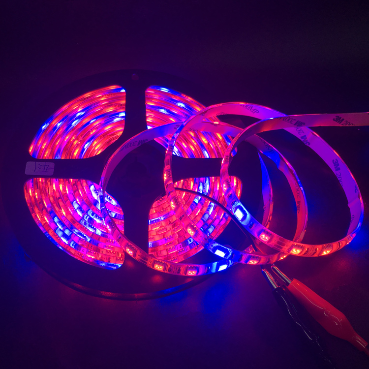 Flower plant Aquarium Hydroponics DC12V waterproof 60leds/m 5050 SMD Red Blue Growing grow led strip light tape