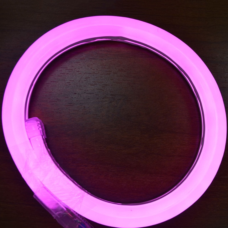 Hot Sale 220v Mini Orange 360 Degree LED Neon Flex Flexible Tube Light