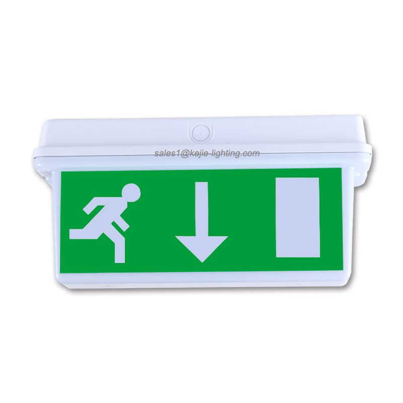 Hight brightness white 4W DIP/SMD Singe /Double side led emergency exit sign for Europe market popular style