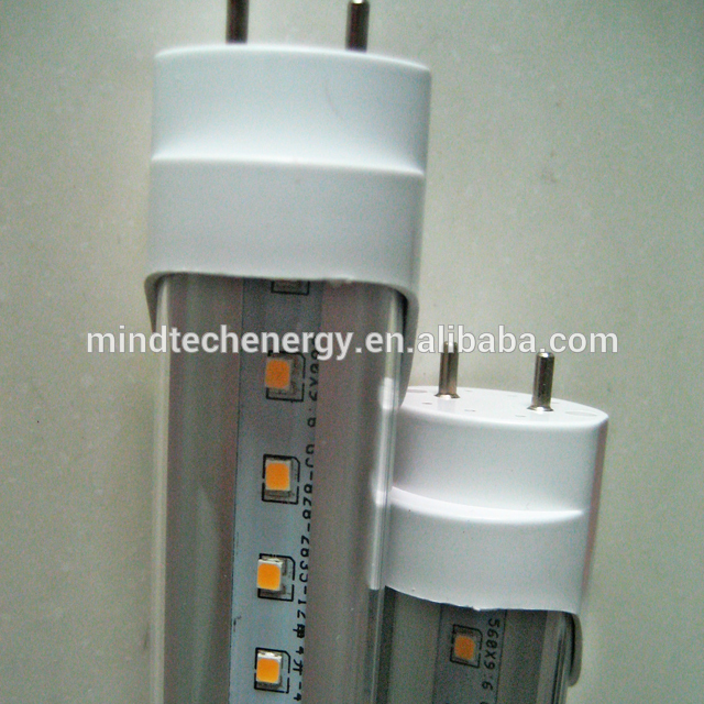 Low price portable super bright T8 tubes