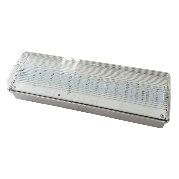 IP65 Wall/Ceiling Surface mounted Emergency LED Light