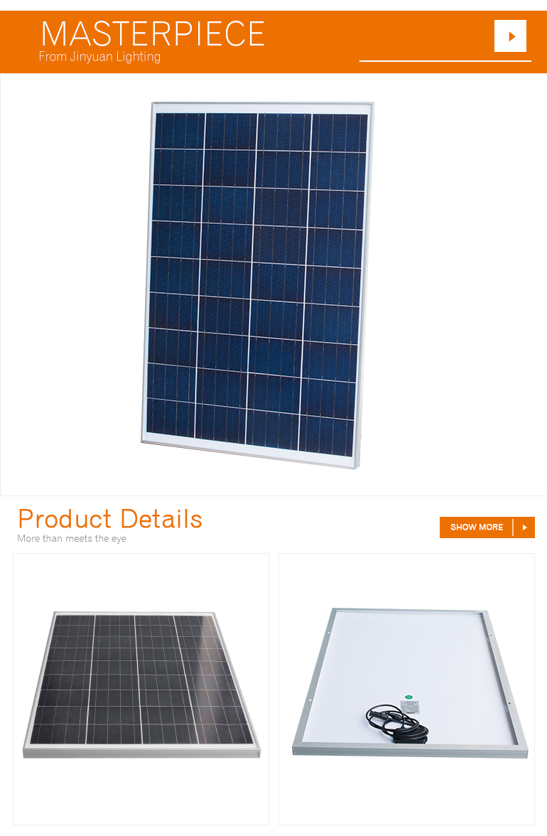 36 cells sunpal polycrystalline panel solar 100w for customized