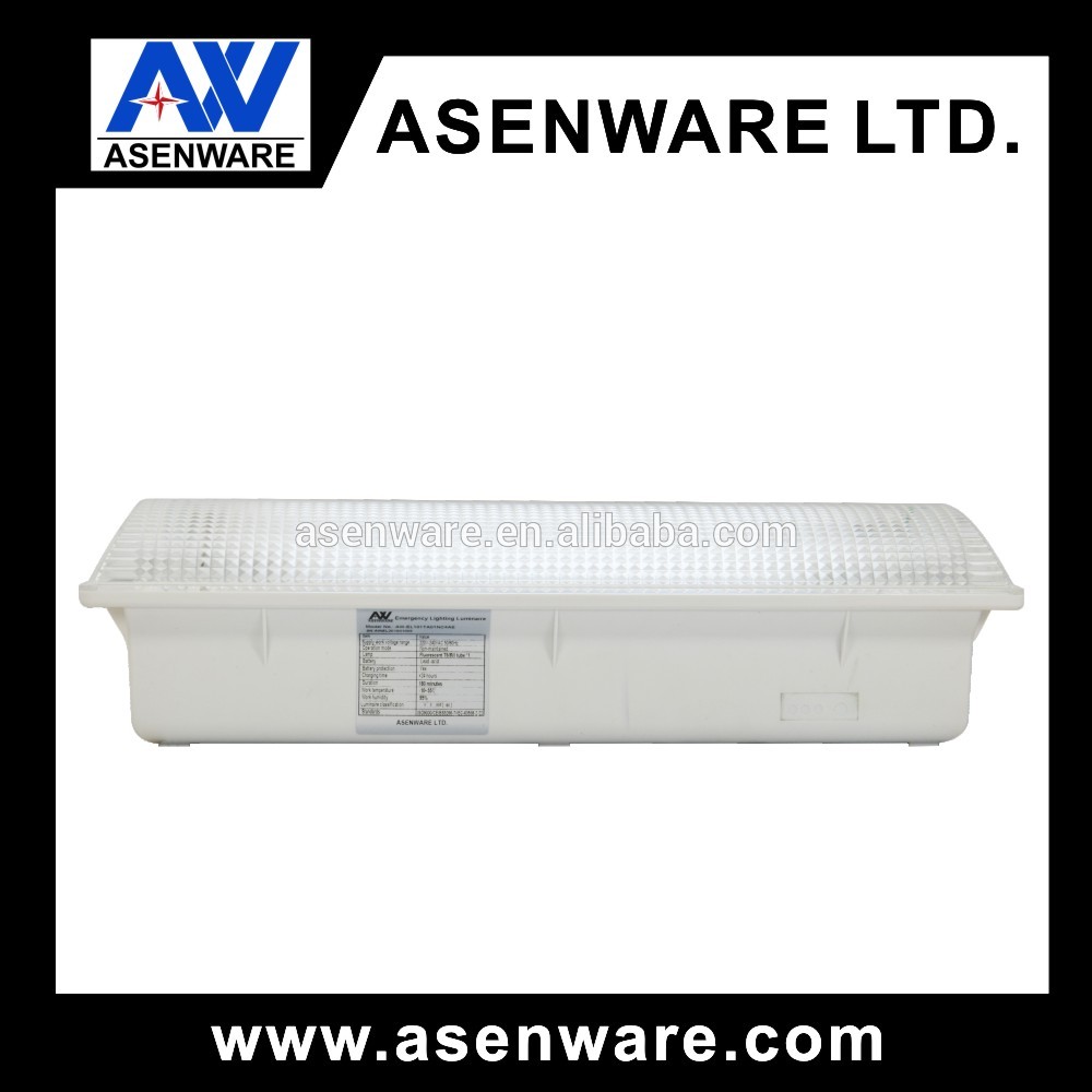 Ceiling mounted emergency light