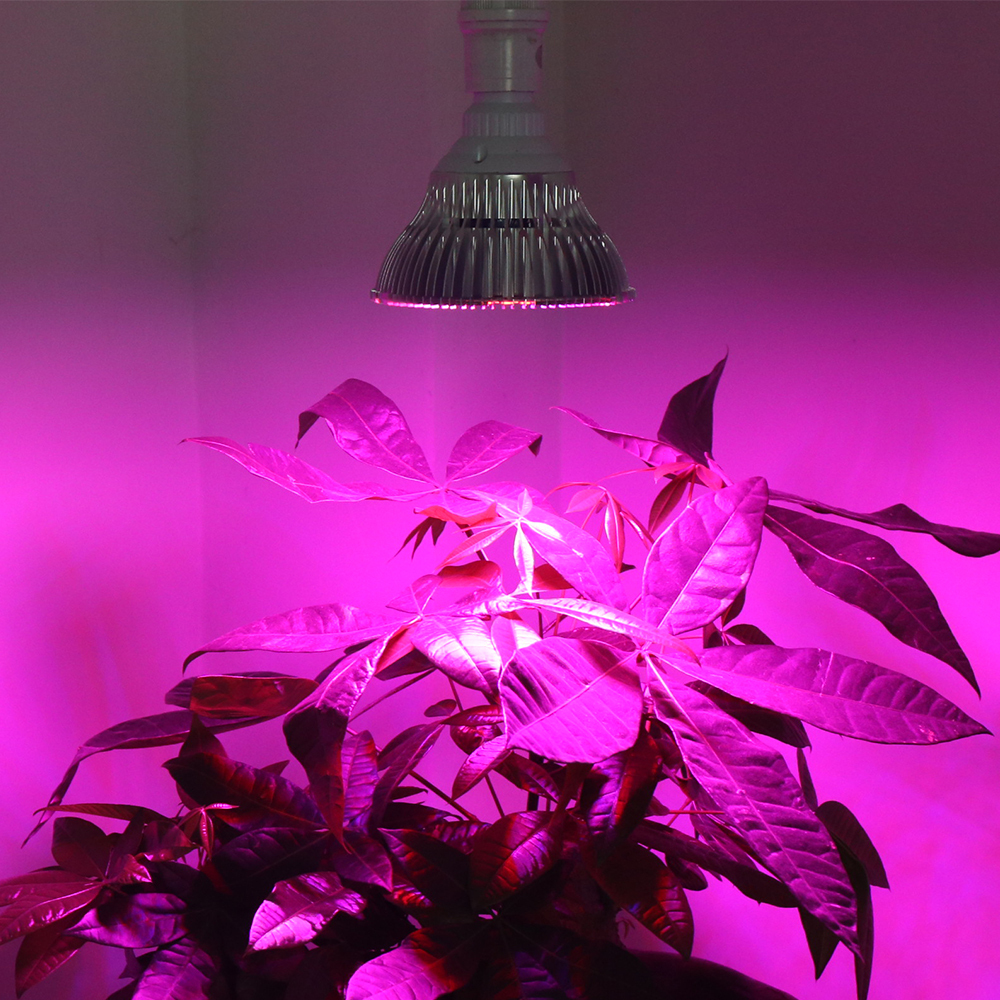 Full Spectrum Led Grow Light E27 30W 50W 80W Led Growing Lamp for Flower Plant Hydroponics System aquarium Led lighting