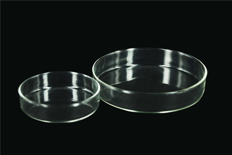 Lab Glassware Borosilicate Glass Petri Culture Dish