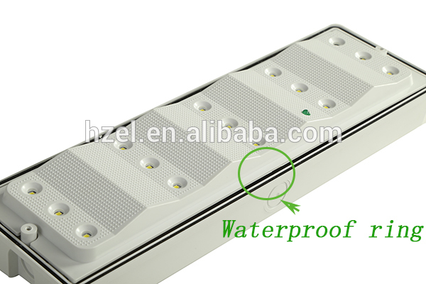 Waterproof Battery Powered Led Emergency Bulkhead Light