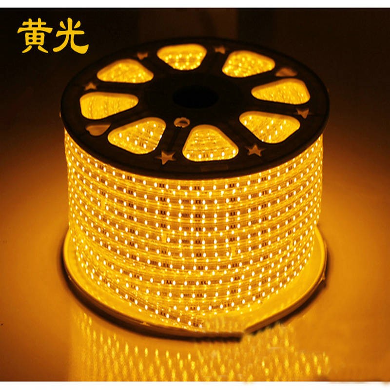 OEM Led striplight waterproof camping led strip