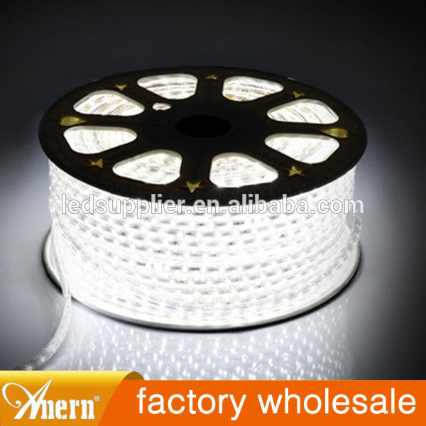 SMD 5050 DC12V 24V RGBW led strips