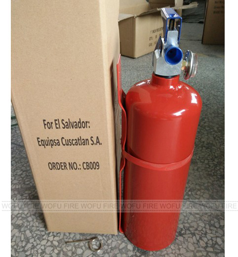 Mexico Type Portable Dry Powder Empty Fire Extinguisher