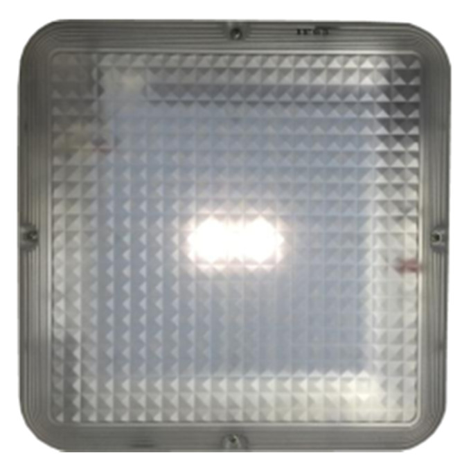 Aluminum die cast Lithium LED Wall Light 25w ceiling mounted 3000k-6500k waterproof ip65