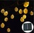 Christmas Decoration Battery Operated  Pineapple 10 led String Light