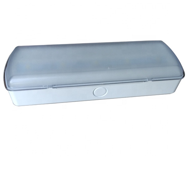 CE certification 2.5W Ceiling Emergency Bulkhead Light